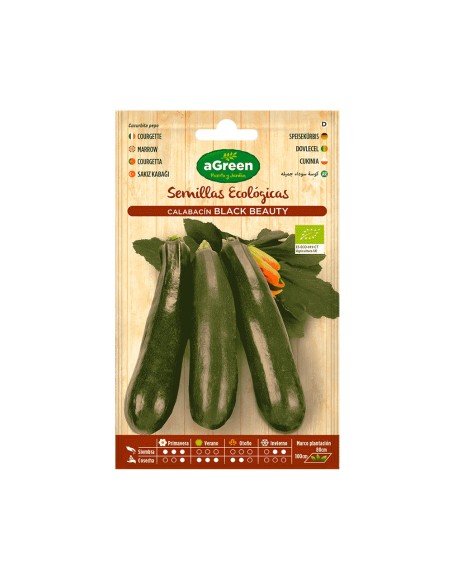 Sobre con semillas eco de calabacin black beauty agreen