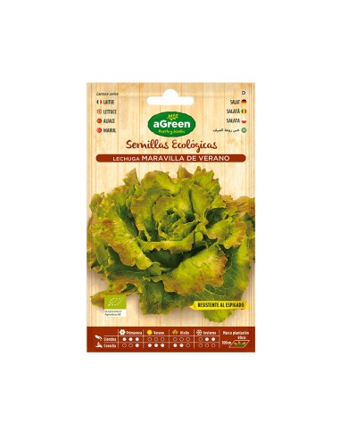 Sobre con semillas eco de lechuga maravilla agreen
