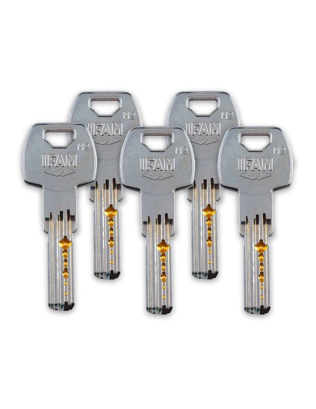 Cerrojo cs88l m50. acabado latonado. cilindro de 50mm. con 5 llaves de seguridad. ifam