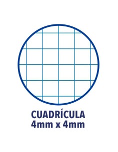 Cuaderno de tapa blanda enri espiral din a5 cuadriculado colores surtidos 2