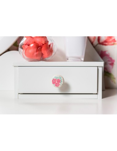 Blister con 4 pomos redondos para mueble...