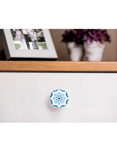 Blister con 4 pomos redondos para mueble...