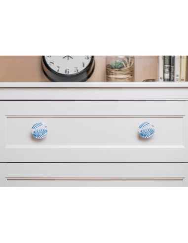 Blister con 2 pomos redondos para mueble...