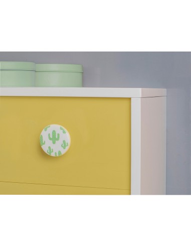 Blister con 2 pomos redondos para mueble...