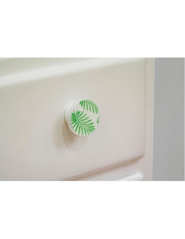 Blister con 2 pomos redondos para mueble...