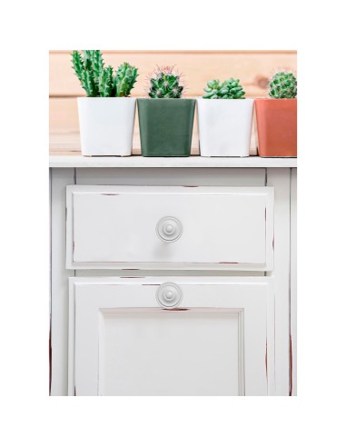 Blister con 4 pomos redondos para mueble...