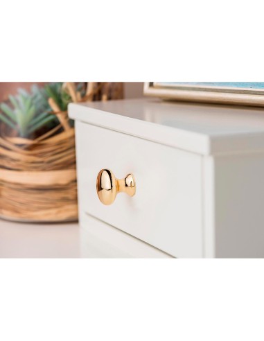 Blister con 4 pomos redondos para mueble...