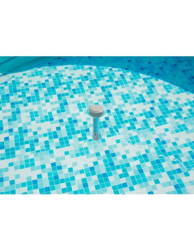 Termometro de piscina. flotante. ø5x19cm 58072...