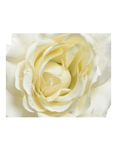 Rosa con clip de poliester colores surtidos...