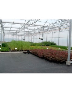 Malla antihierba 100 gr/m² 2 x 10 m color verde 2