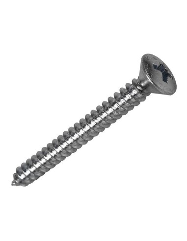 Caja m 10 unid. tornillo rosca chapa cp cinc...