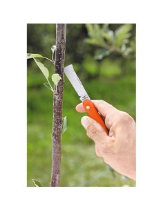 Navaja de injertar 55 mm, mango de plástico, con levanta corteza 2