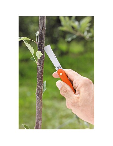 Navaja de injertar 55 mm, mango de plástico,...