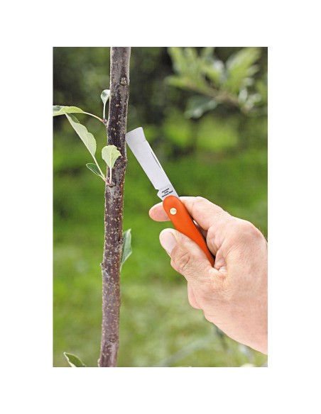 Navaja de injertar 55 mm, mango de plástico, con levanta corteza