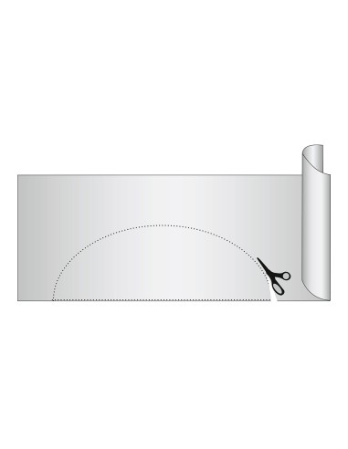 Lámina antideslizante, transparente 47035100 wenko