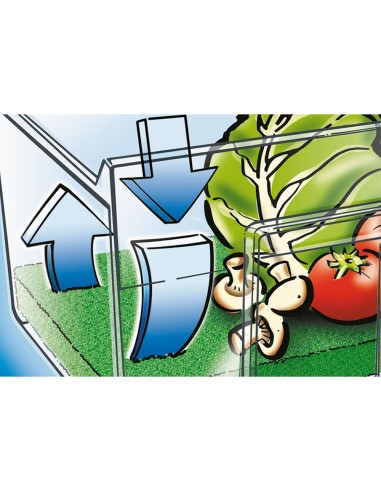 Esterilla antimoho 2751011100 wenko