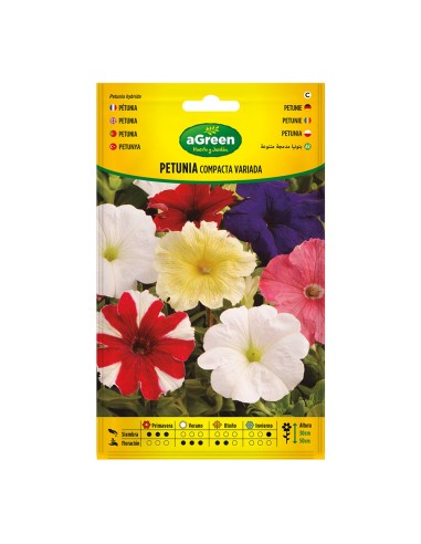 Sobre con semillas de petunia compacta variada