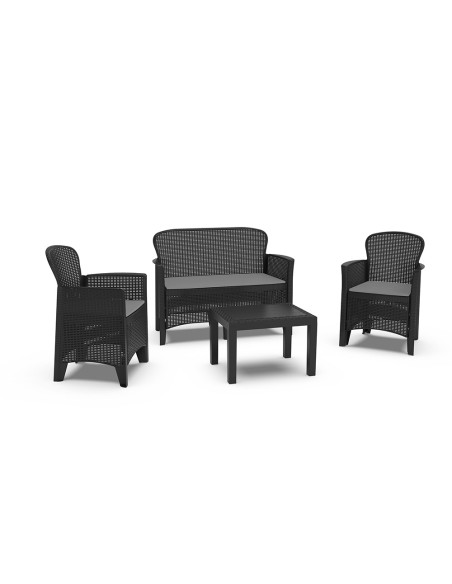 Conjunto jardin jungle 4 piezas antracita + cojines