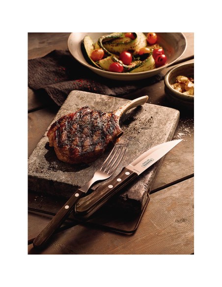 Juego de cuchillos jumbo 4 piezas polywood castaño 12,7cm tramontina