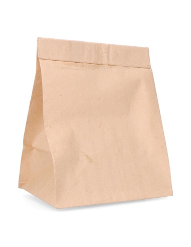 Bolsa de recambio para aspirador taurus