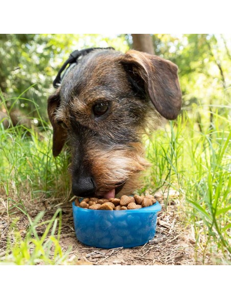 Botella con depósito de agua y comida para mascotas 2 en 1