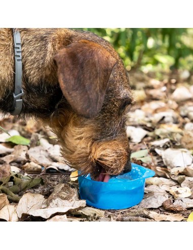 Botella con depósito de agua y comida para...