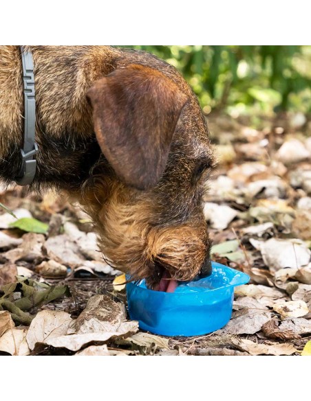 Botella con depósito de agua y comida para mascotas 2 en 1