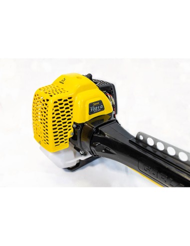 Blister 2 unid. de bujías 4t (rj19lm)...