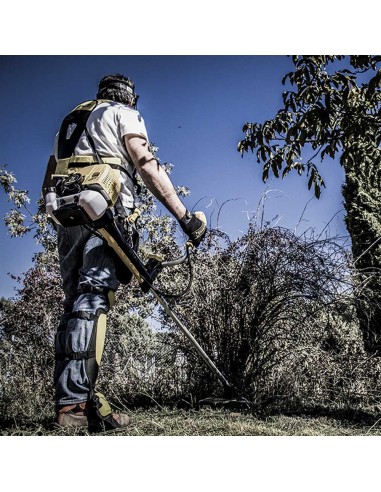 Blister 2 unid. de bujías 4t (rj19lm)...