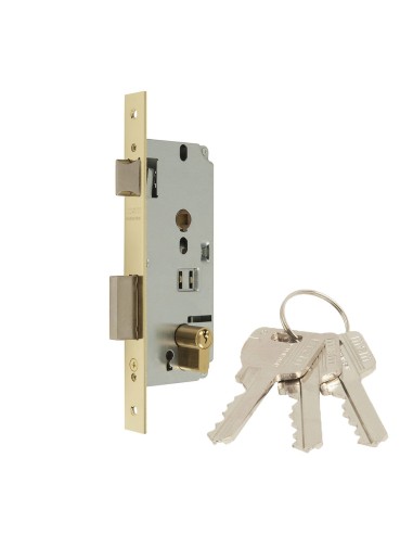 Cerradura de embutir 1 punto 1601-250 mcm
