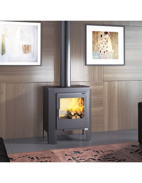 Estufa de leña frontal fm