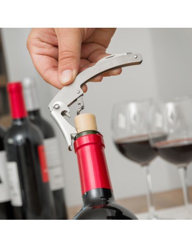 Estuche de vino con forma de botella v0100451...