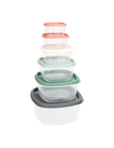 Set 6 fiambreras de plastico con tapas de colores y medidas diferentes.