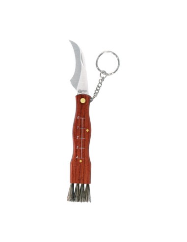 Navaja setas acero inoxidable con llavero + funda hoja 6,5 cm