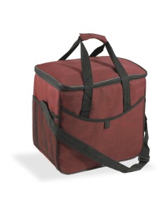 Nevera diseño tejana con asa color azul 21 l 2