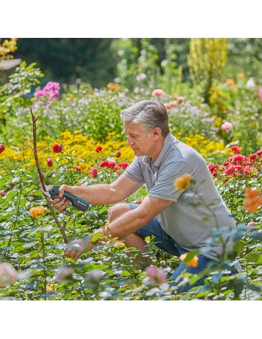 Tijera de podar de batería para jardín...