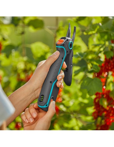 Tijera de podar de batería para jardín...