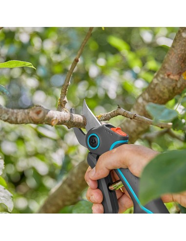 Tijera de podar de batería para jardín...