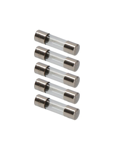Fusible 6 x 24 mm 10 a, envasado 5 uds