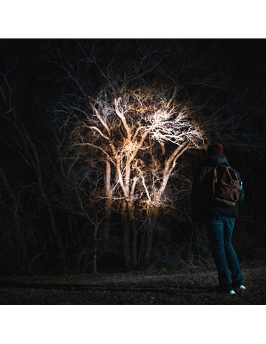 Linterna newton™ 500. táctica