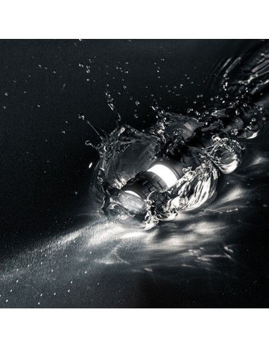 Linterna inspector 500+. boli flexpower por la...