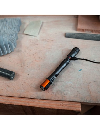 Linterna inspector 500+. boli flexpower por la...