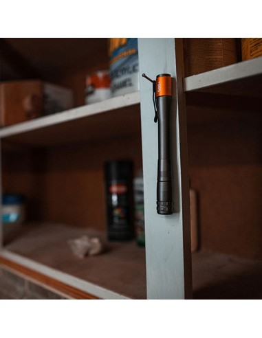 Linterna inspector 500+. boli flexpower por la...