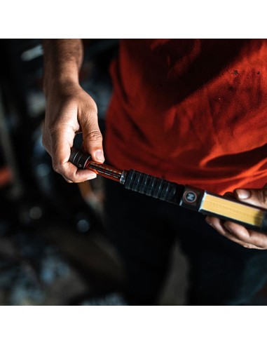 Linterna big larry 3. lámpara+cob por la compra...