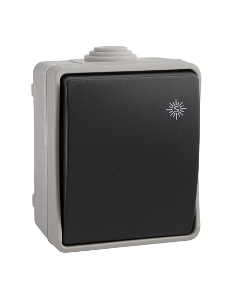 Conmutador/interruptor estanco 10 ax 250 v~ip54 (retractilado)