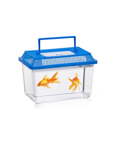 Caja para insectos colores surtidos