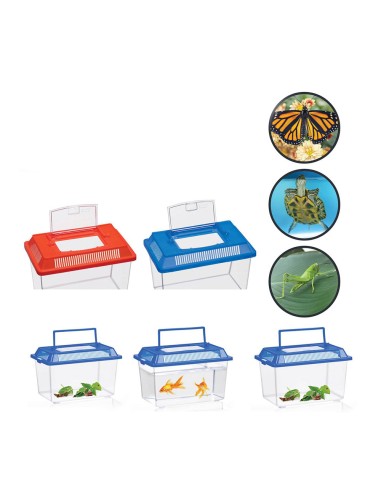 Caja para insectos colores surtidos