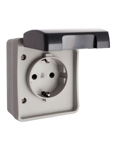 Base fija estanca 2p+t 16 a 250v~ ip44 (retractilado)