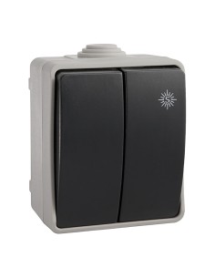 Doble conmutador estanco 10 ax 250v~. ip54 (retractilado)