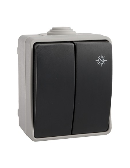 Doble conmutador estanco 10 ax 250v~. ip54 (retractilado)